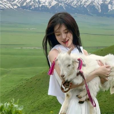 执法者:巴斯·里夫斯